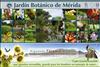 Flores del Paramo (23)